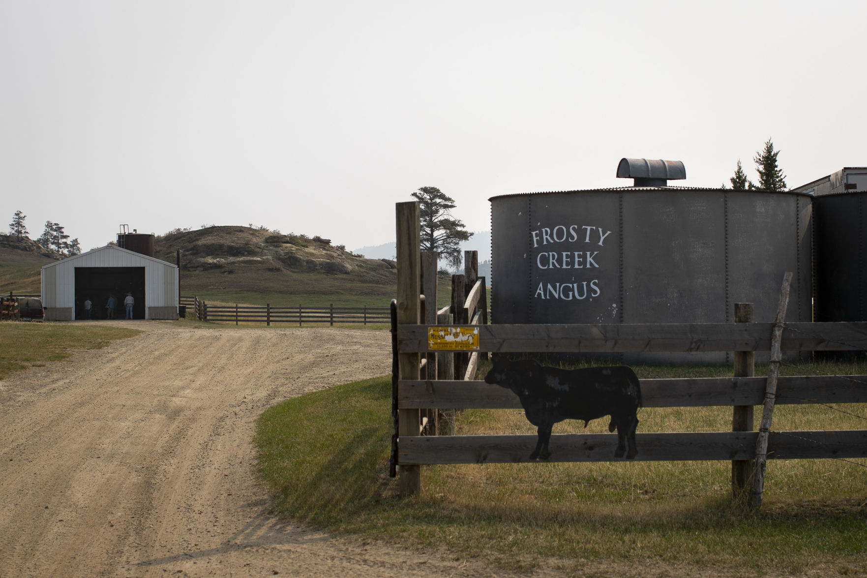 Frosty Creek Angus Ranch